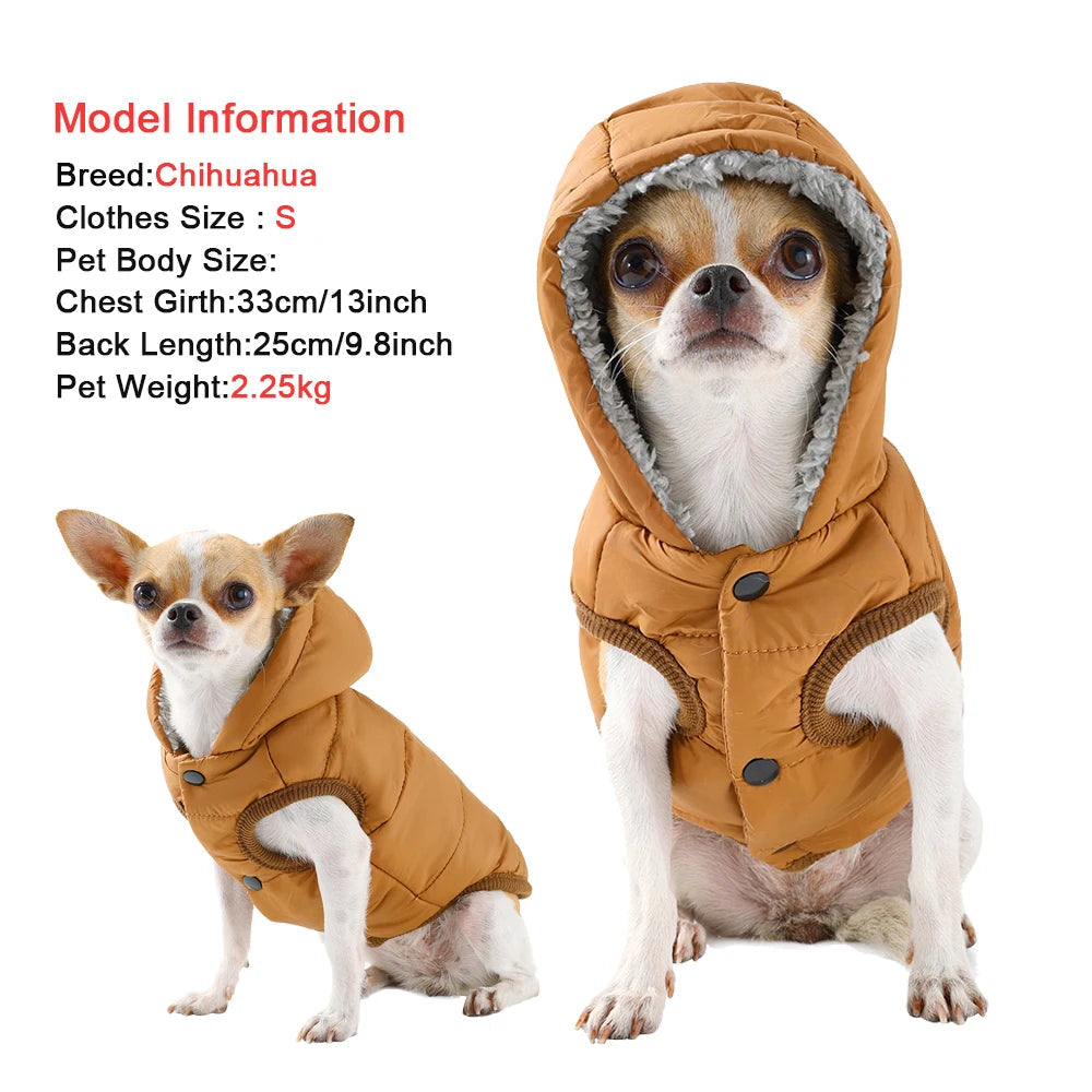 Pet Clothing