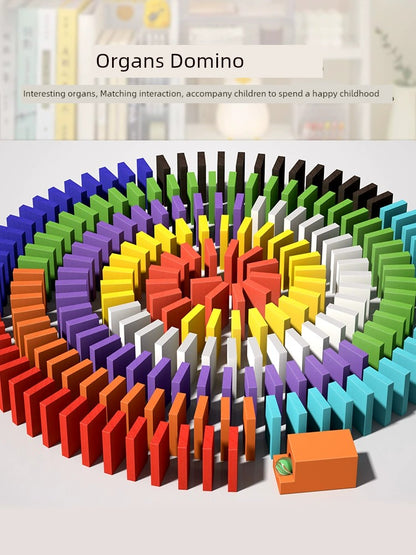 Rainbow Dominoes Kids Intellectual Brain Toys